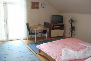 Apartmanske sobe "President" - Noćenje Zagreb