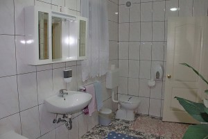Apartmanska soba "Prasident" Danijela